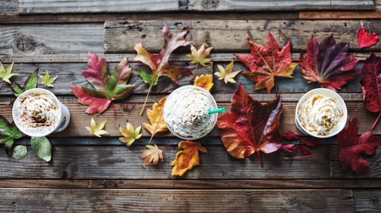 Three Starbucks lattes by fall leaves