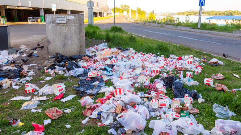 Trash and KFC takeout scattered on the ground