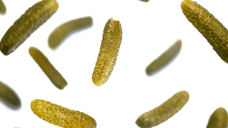 pickles on white background