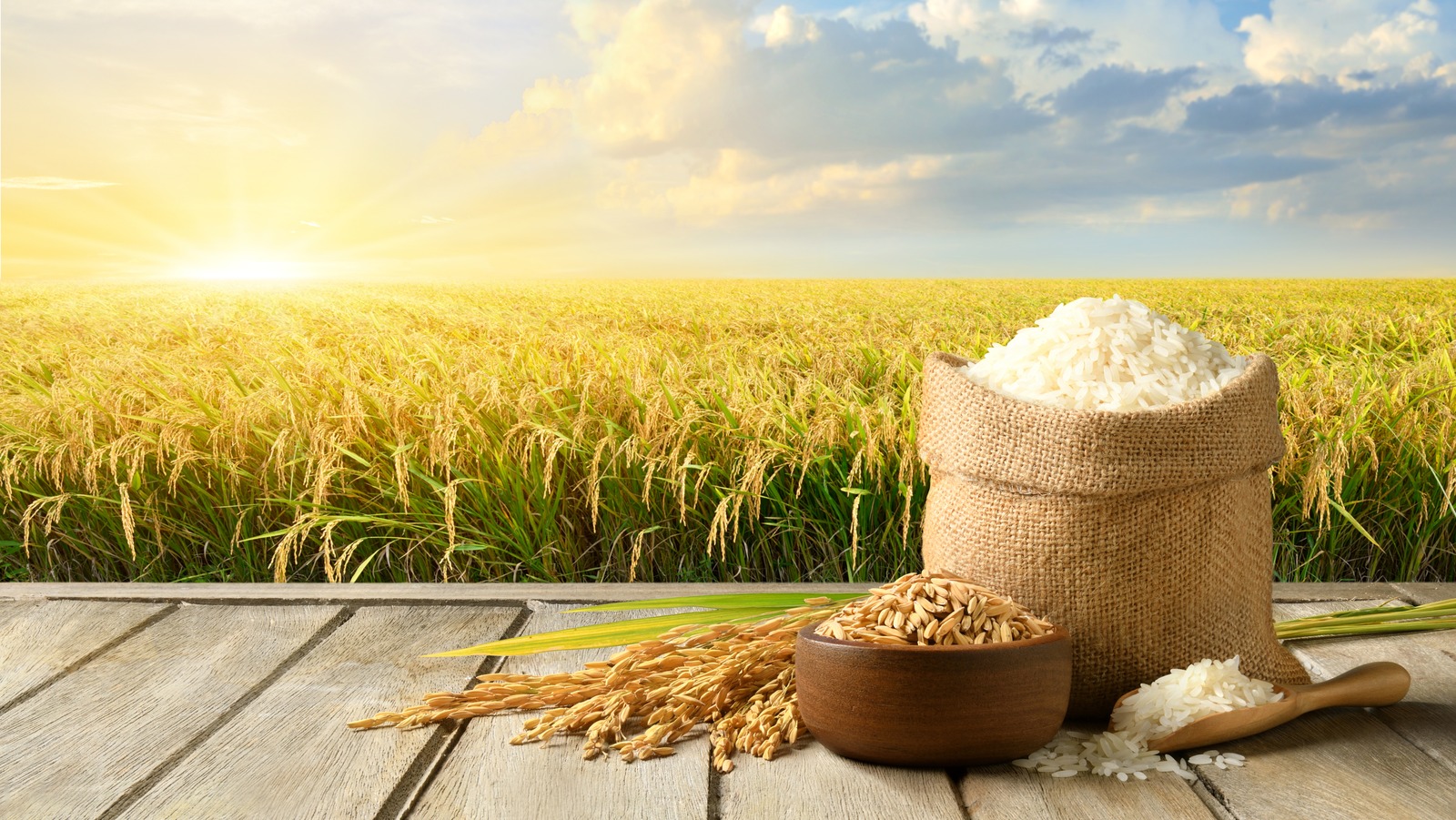We're Not Sure If You Noticed, But There's A Major Rice Shortage Right Now