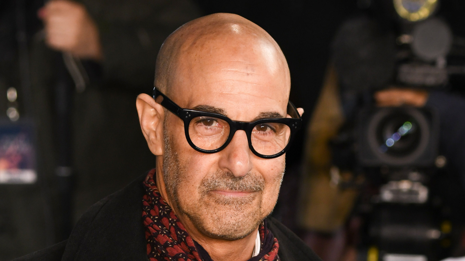We're Simply Falling For These Savory Stanley Tucci Cooking Tips