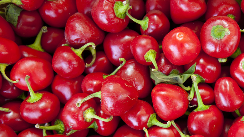 pile of cherry peppers