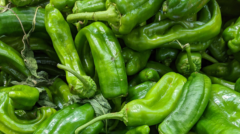 What Are Cubanelle Peppers And What Do They Taste Like?