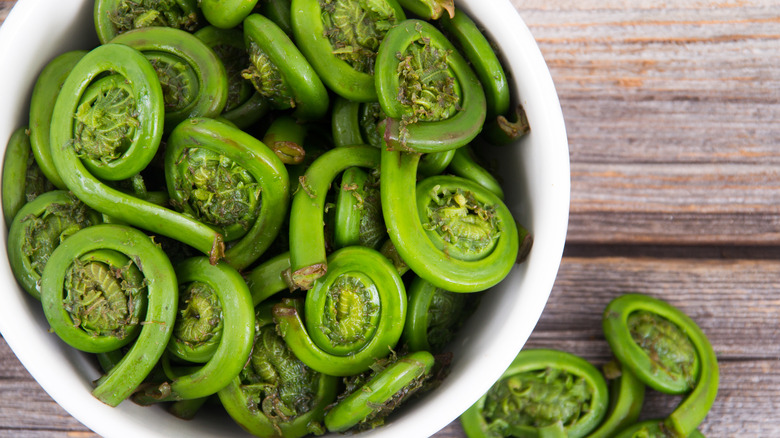 Bowl of prepared fiddleheads in a white bowl on a wood background