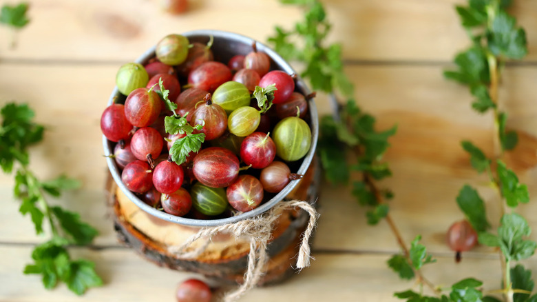 Gooseberries in bowl