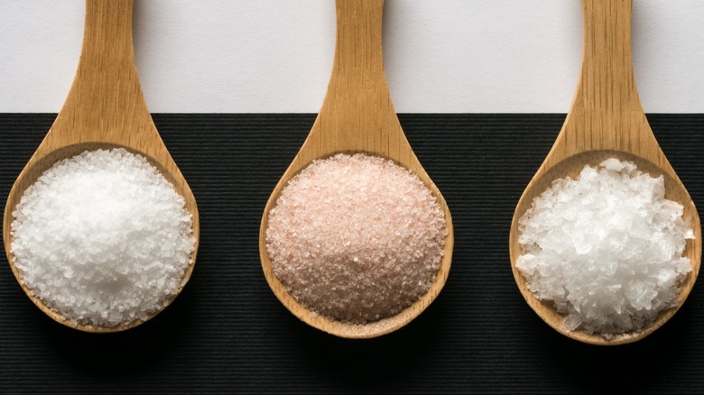 Three spoons with three different gourmet salts