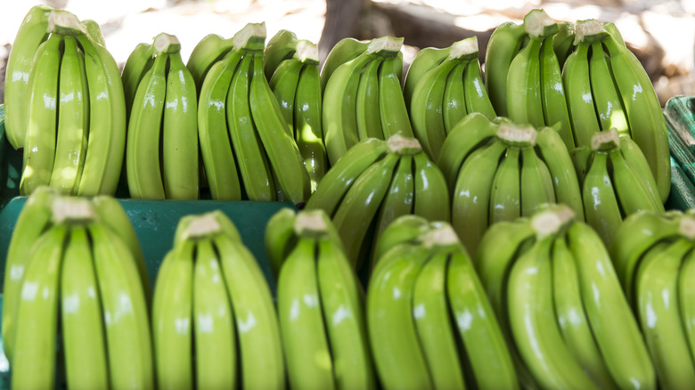 Green bananas