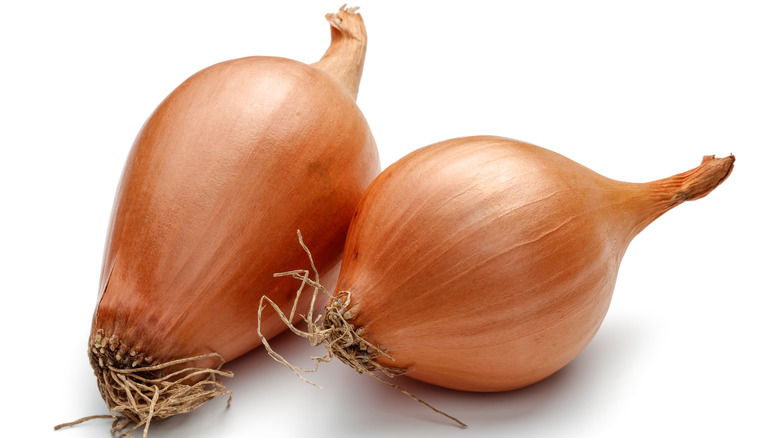 two shallots