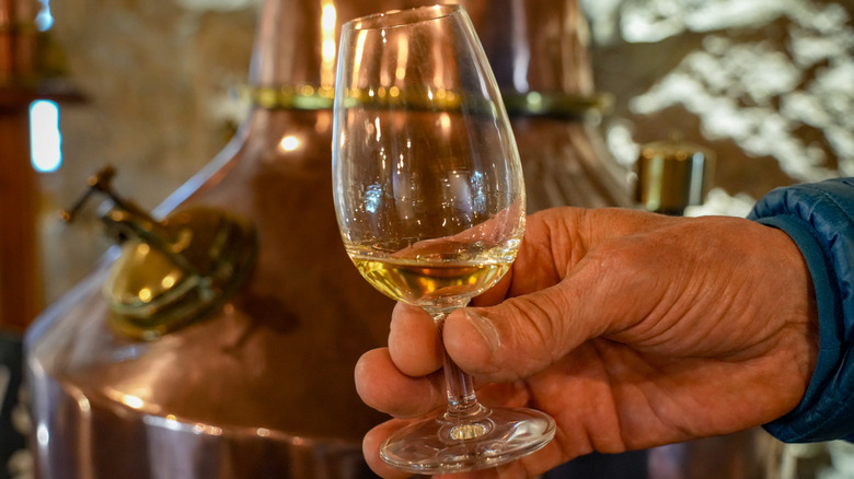 Hand holding small tasting glass of whiskey in distillery.