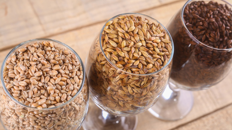 Three different malted grains in wine glasses.
