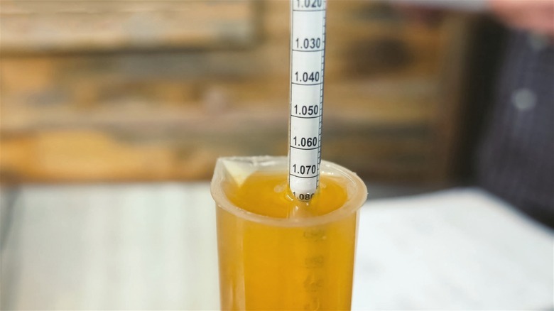 A hydrometer measures a beer's alcohol content.