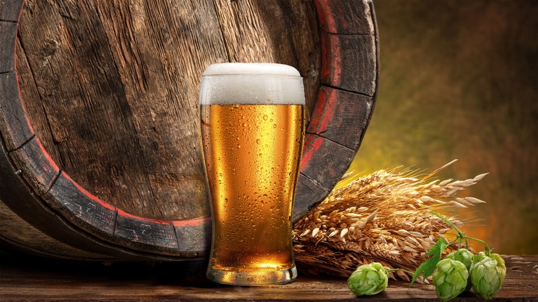 Beer, hops, and barley.