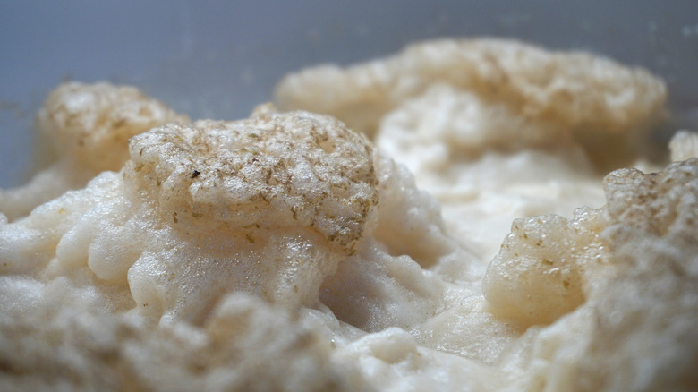 Fluffy yeast foam