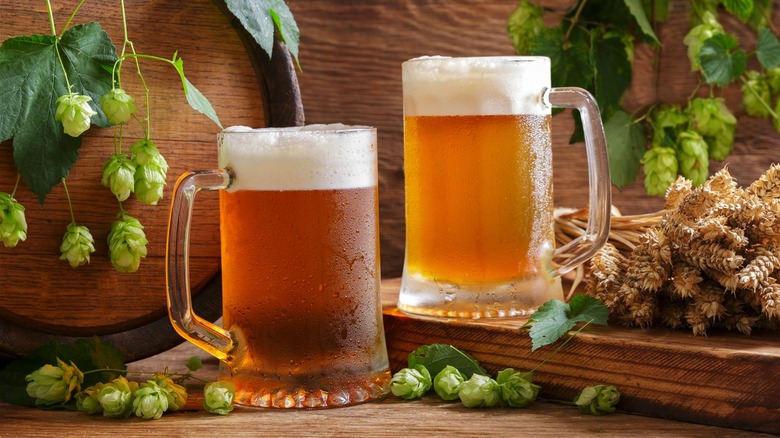 Two cold mugs of beer displayed with fresh hops and ears of wheat.