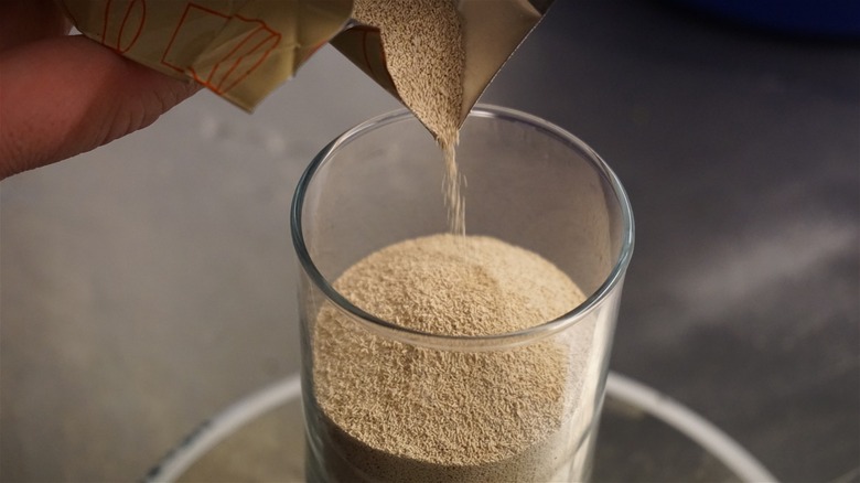 Yeast being measured out for beer brewing.