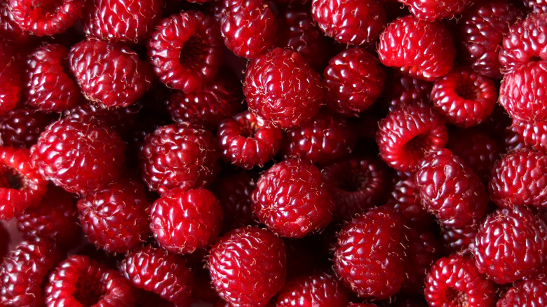 Close-up of a pile of red raspberries.