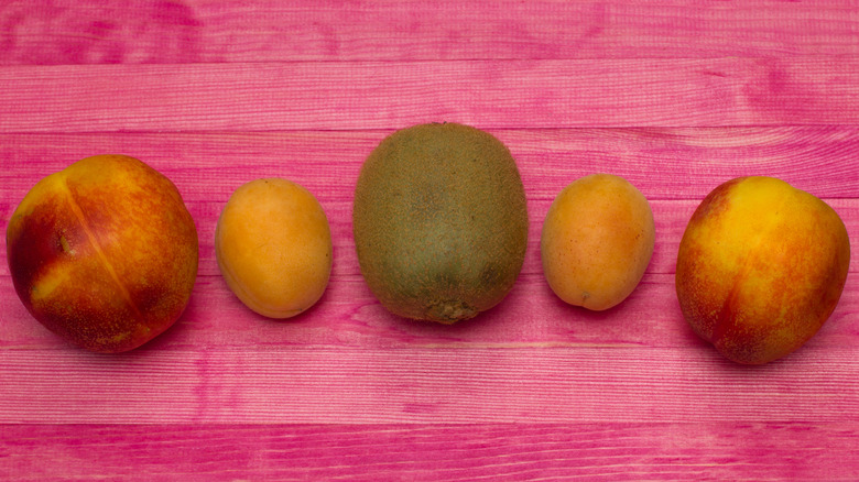 Peaches, apricots, and a kiwi on pink surface.
