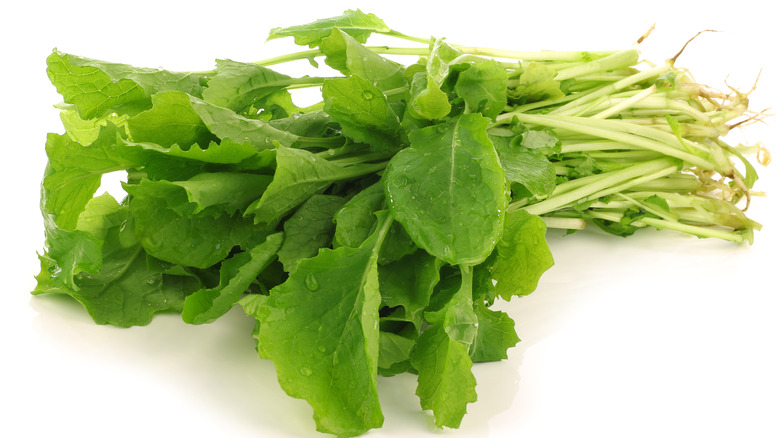 Fresh turnip greens