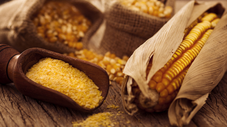 Corn in husk, cornmeal, and corn kernels in bags
