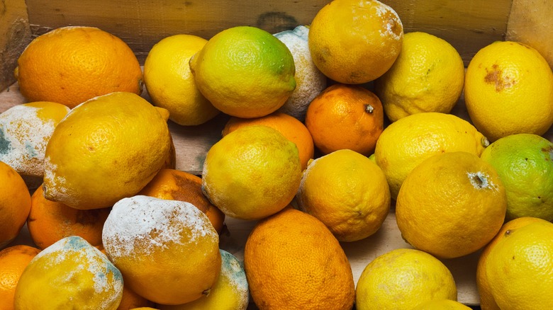 Fruit rotting in wooden box