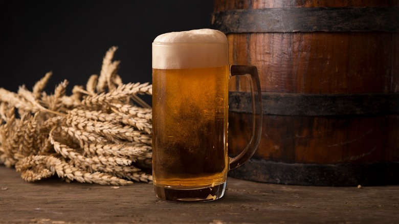 Beer wheat