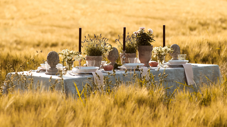 dining table in a wheat field