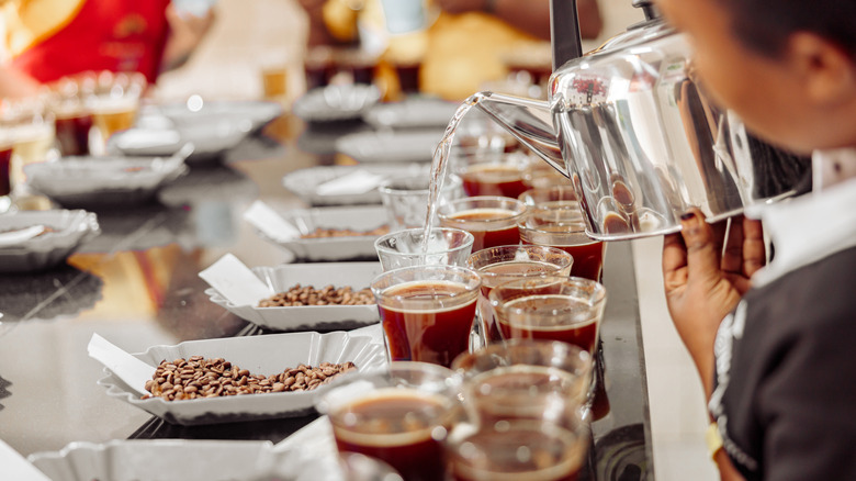 Barista doing coffee cupping 