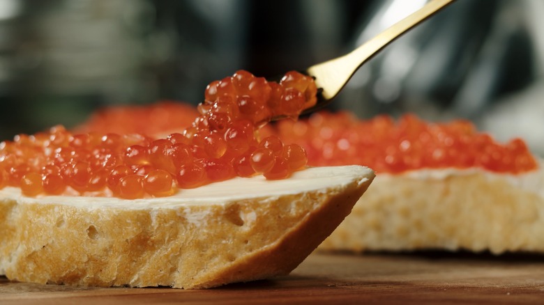 orange fish eggs caviar on bread