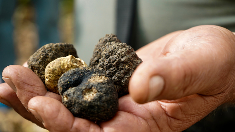 a group of truffles on a plate