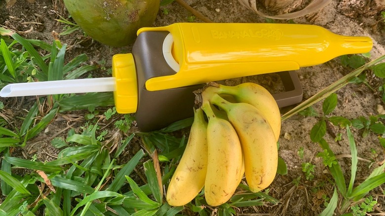 Banana Loca banana filler