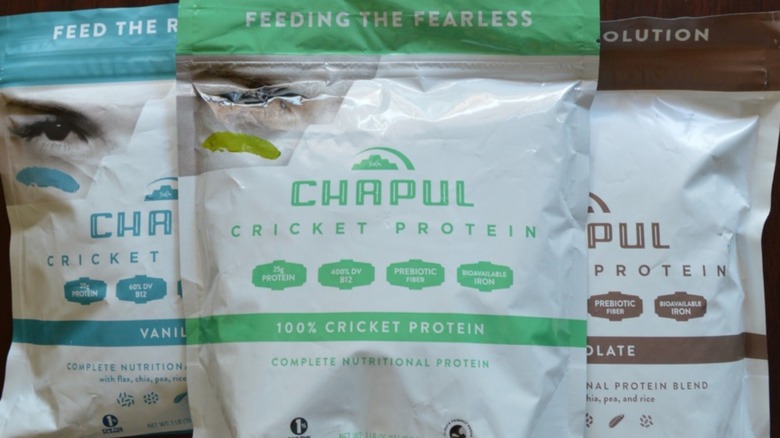 Chapul cricket protein
