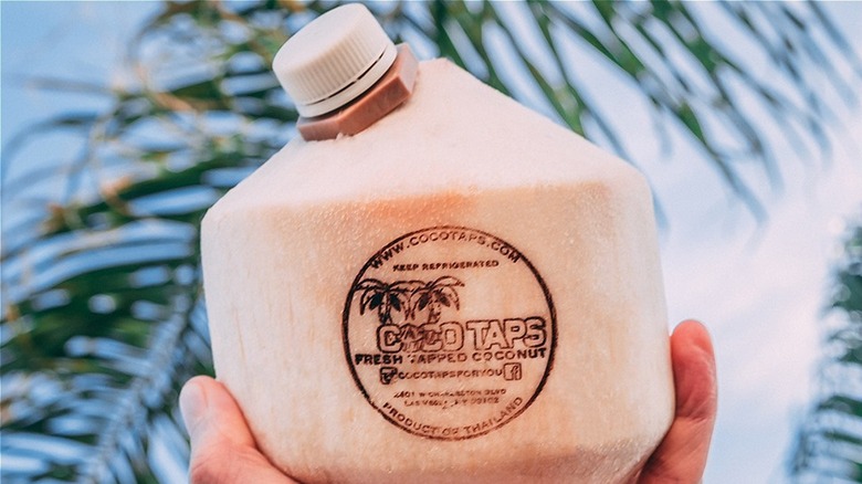 Coco Taps fresh tapped coconut