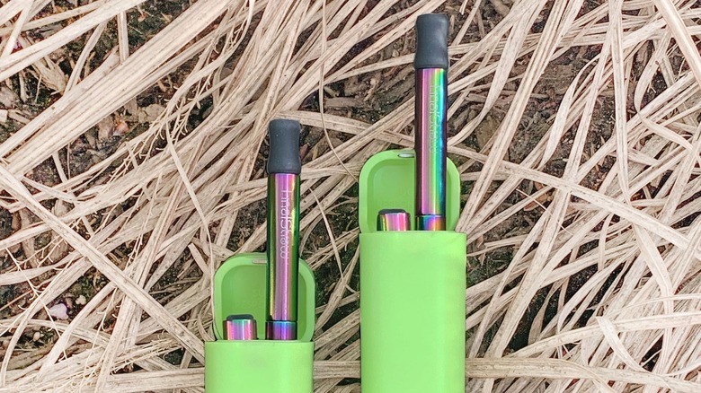 FinalStraws on grass