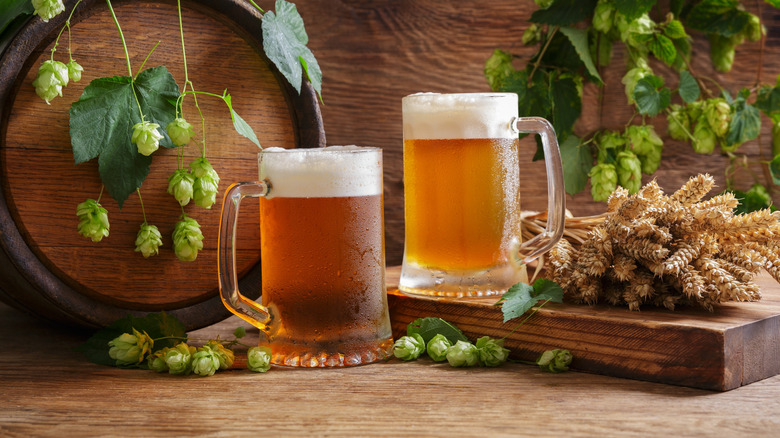 Two full mugs of ale surrounded by wheat and hops.