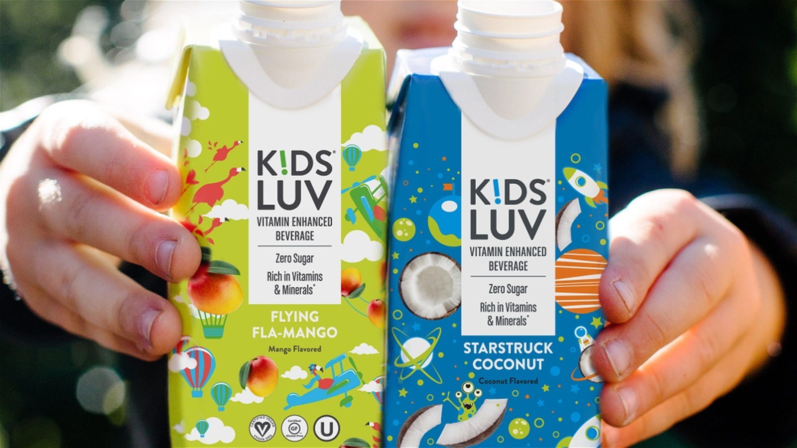 What Happened To KidsLuv From Shark Tank?