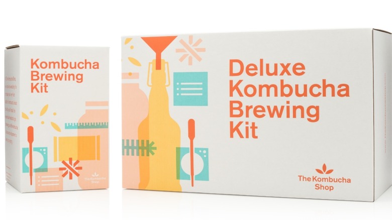 Kombucha home brewing kit