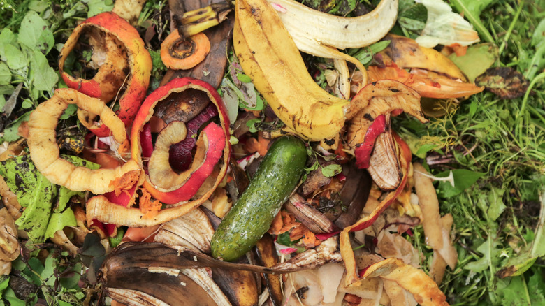 Closeup of a compost pile with assorted fruits and vegetables
