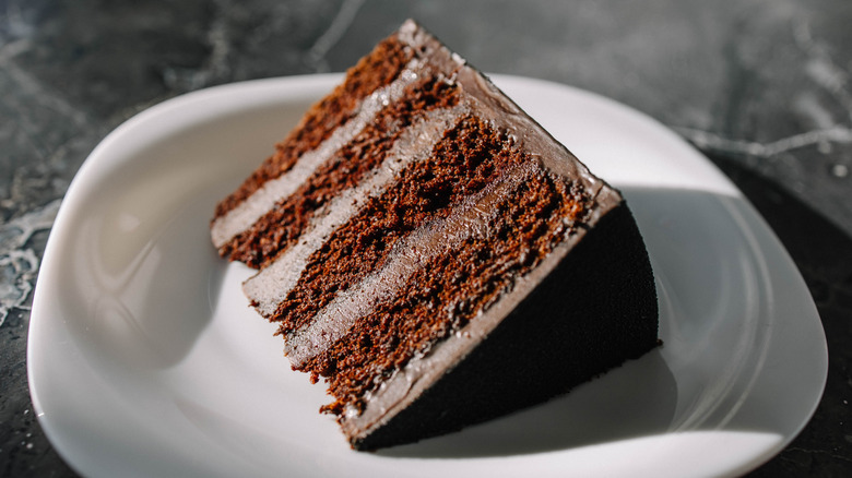 Slice of chocolate cake on white plate