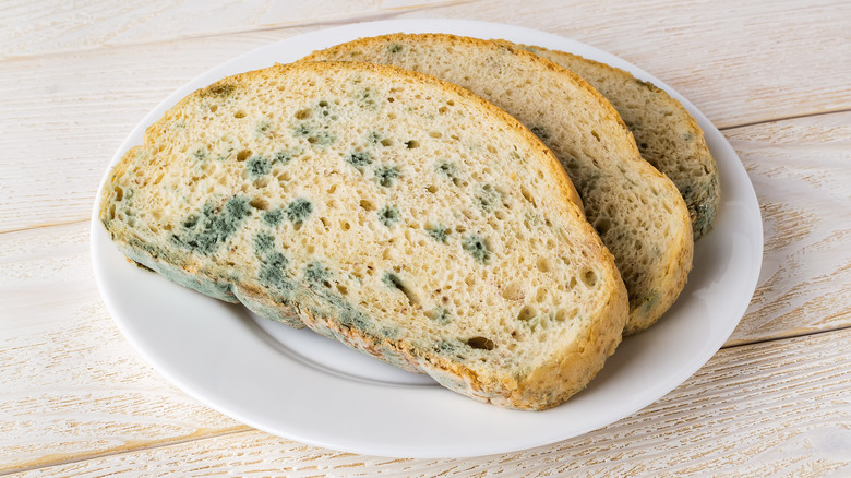 moldy bread on plate