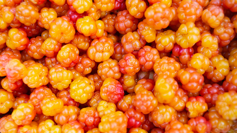 Golden pink cloudberries