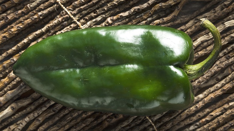 Dark green, long chili pepper