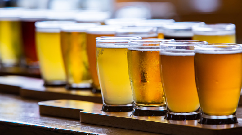 Small pours of beer in tasting glasses on wood blocks