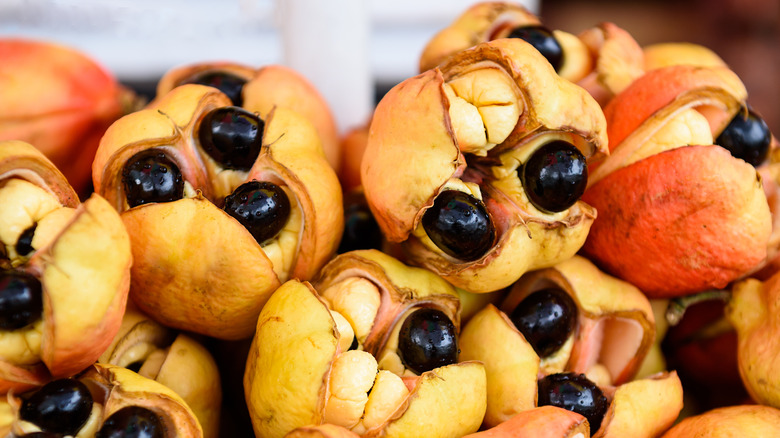 pile of ripe ackee fruit