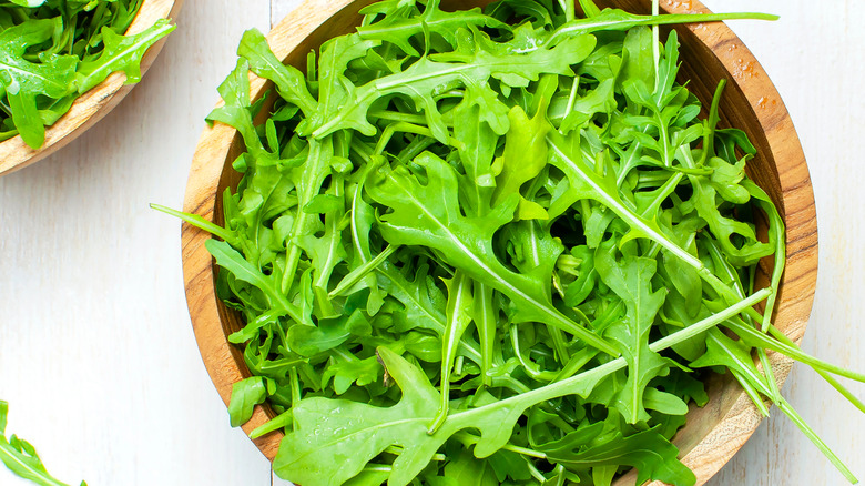 Fresh arugula greens