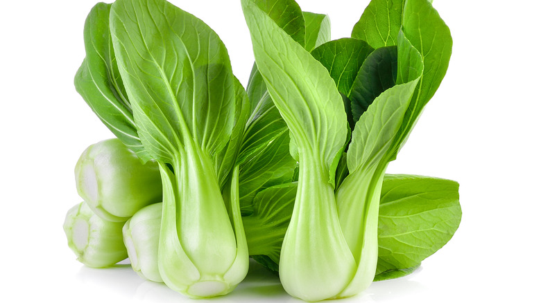 bok choy