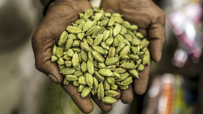 handful of green cardamom pods