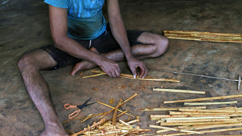 A worker layers the scrapings of cinnamon bark into quills at Malendra Cinnamon Estate in Matale, Sri Lanka, on Wednesday, Sep. 4, 2019. Cinnamon trees, which can grow as high as 30 feet (9 meters), are ready for harvest after three years. The bark is scrubbed, loosened, peeled off and rolled into quills, with the slimmest quills going for the highest prices. The trees can yield bark for 60 years. Photographer: Buddhika Weerasinghe/Bloomberg via Getty Images