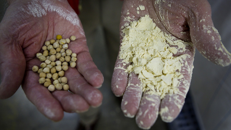 hands holding chickpeas and chickpea flour