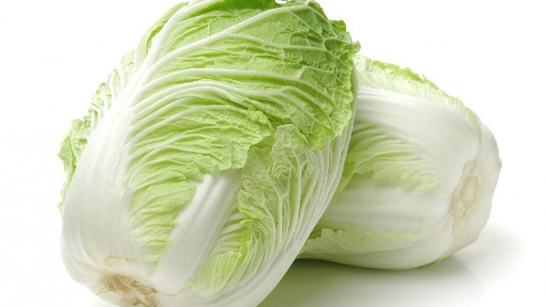 Chinese cabbage 