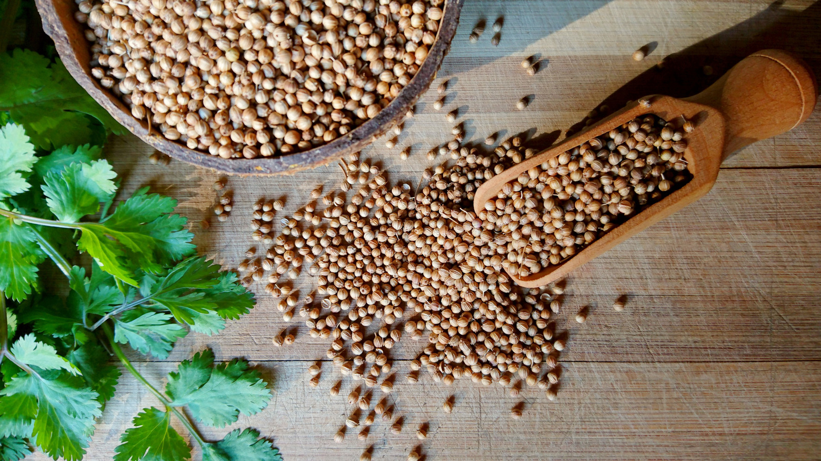 What Is Coriander And What Does It Taste Like?